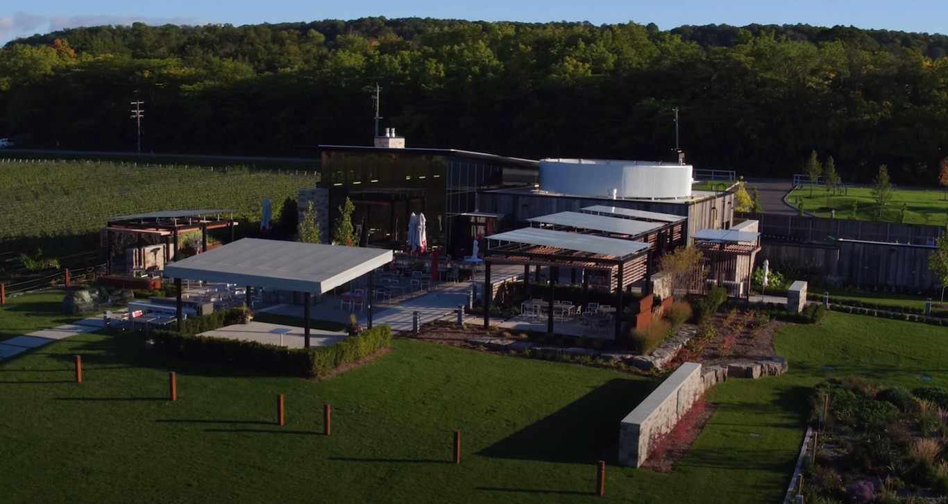 Professional landscape lighting enhancing outdoor spaces